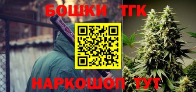 apvp Аша