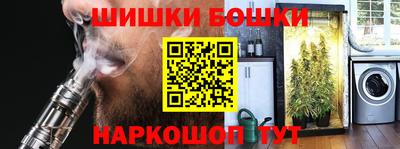 apvp Аша
