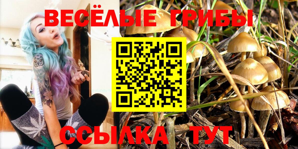 Псилоцибиновые грибы Magic Shrooms Алатырь