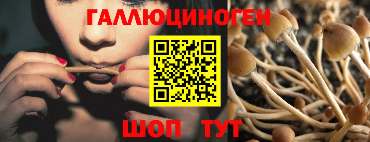 Галлюциногенные грибы мицелий  Вход с VPN  Алатырь 